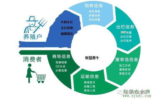 智慧農業新篇章 物聯網智慧養牛系統的軟件開發與應用
